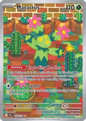 Maractus 160/159